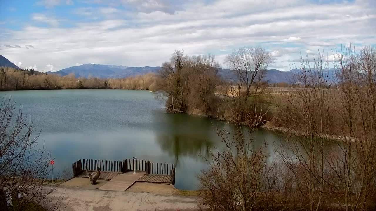 Webcam Ribnik Vrbje – Žalec