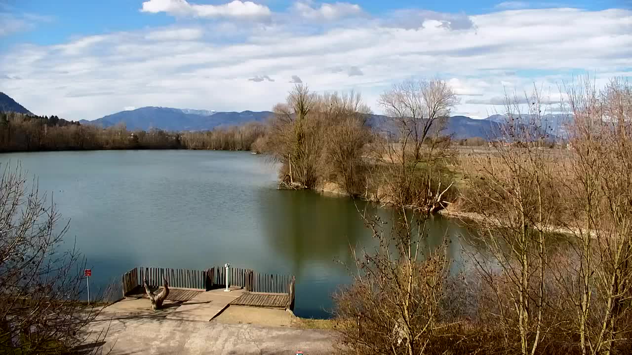 Webcam Ribnik Vrbje – Žalec