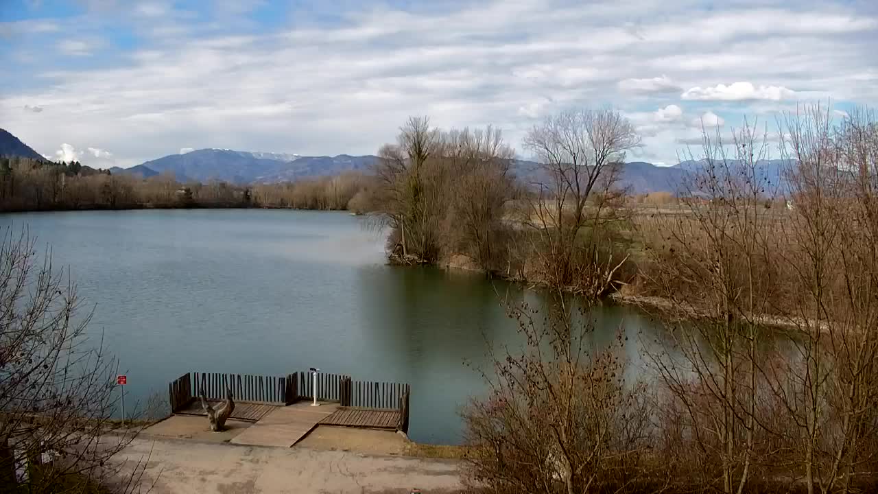 Webcam Ribnik Vrbje – Žalec