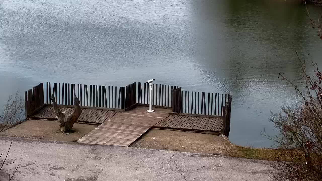 Web kamera Ribnik Vrbje – Žalec