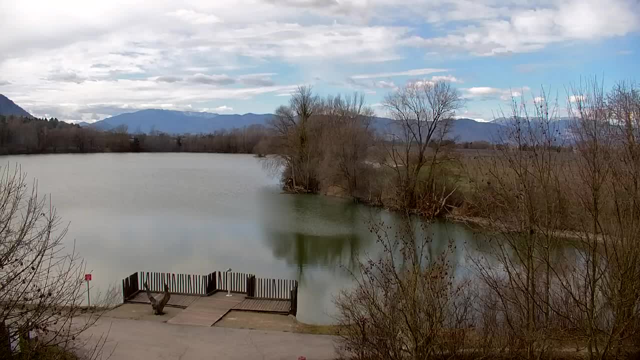 Webcam Ribnik Vrbje – Žalec