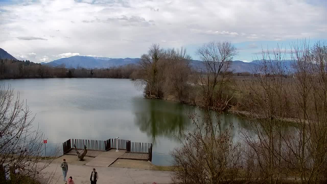 Webcam Ribnik Vrbje – Žalec