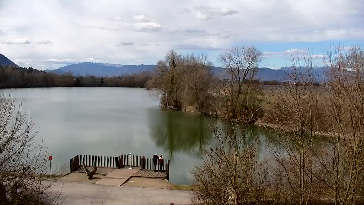 Spletna kamera Ribnik Vrbje – Žalec