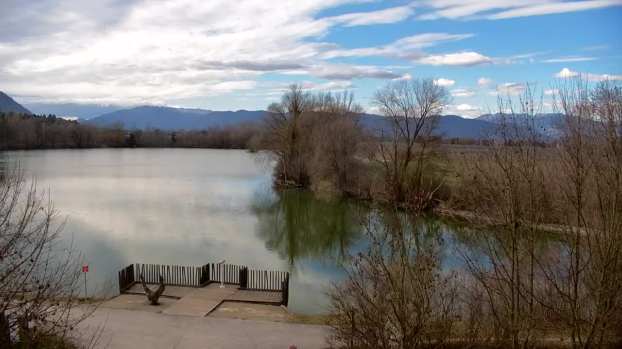 Webcam Ribnik Vrbje – Žalec