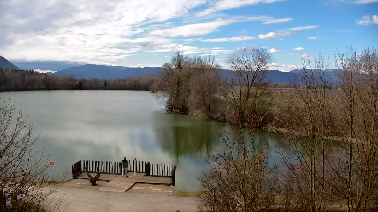 Spletna kamera Ribnik Vrbje – Žalec