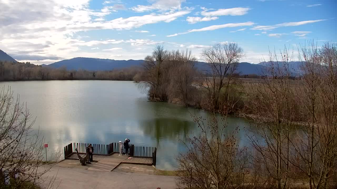 Webcam Ribnik Vrbje – Žalec