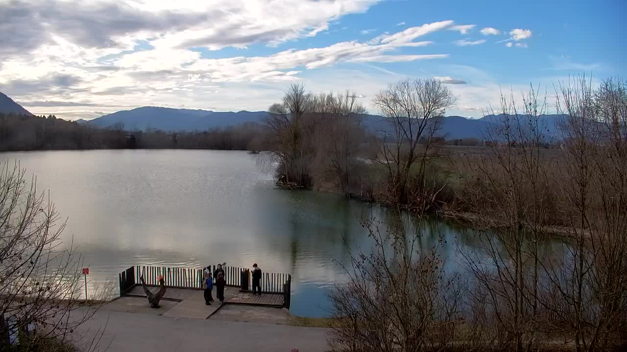 Webcam Ribnik Vrbje – Žalec