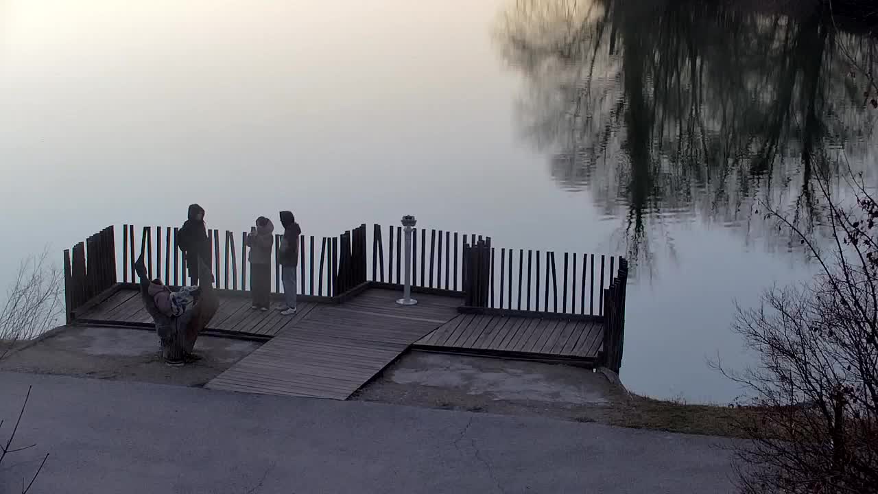 Spletna kamera Ribnik Vrbje – Žalec