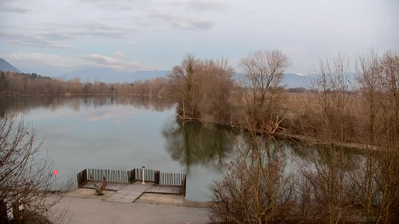 Webcam Ribnik Vrbje – Žalec