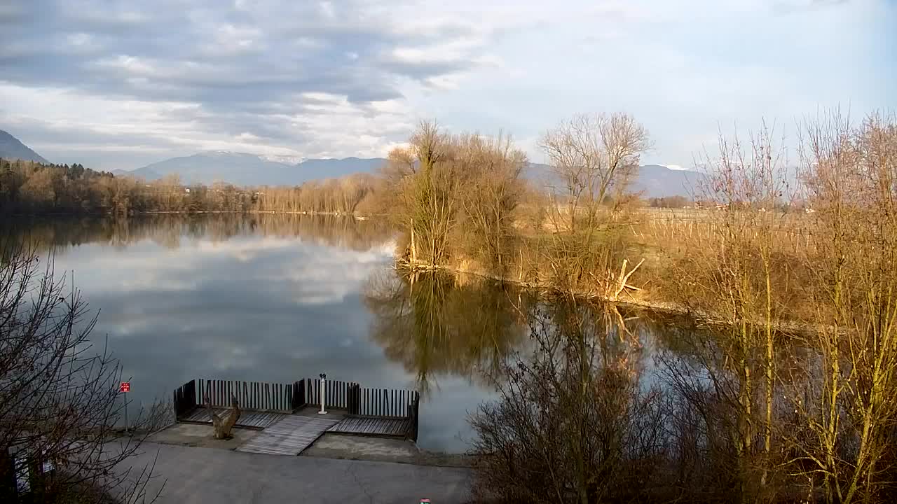 Web kamera Ribnik Vrbje – Žalec