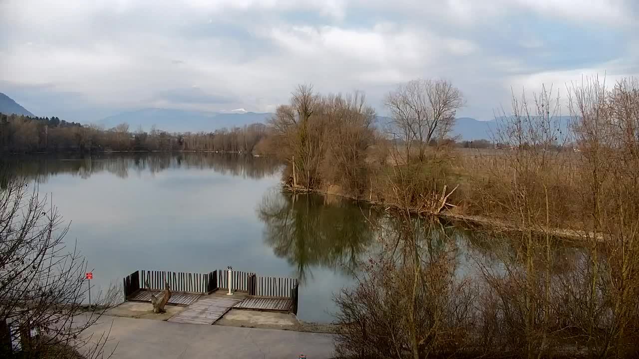 Web kamera Ribnik Vrbje – Žalec