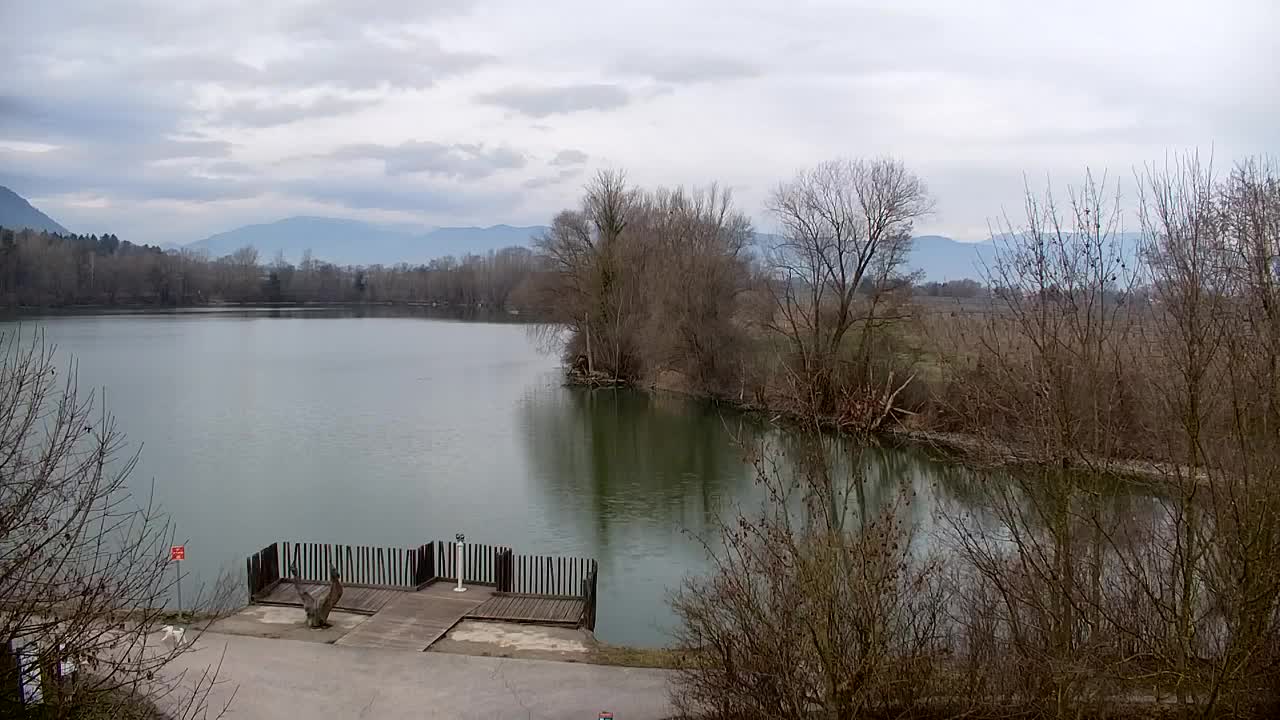 Webcam Ribnik Vrbje – Žalec