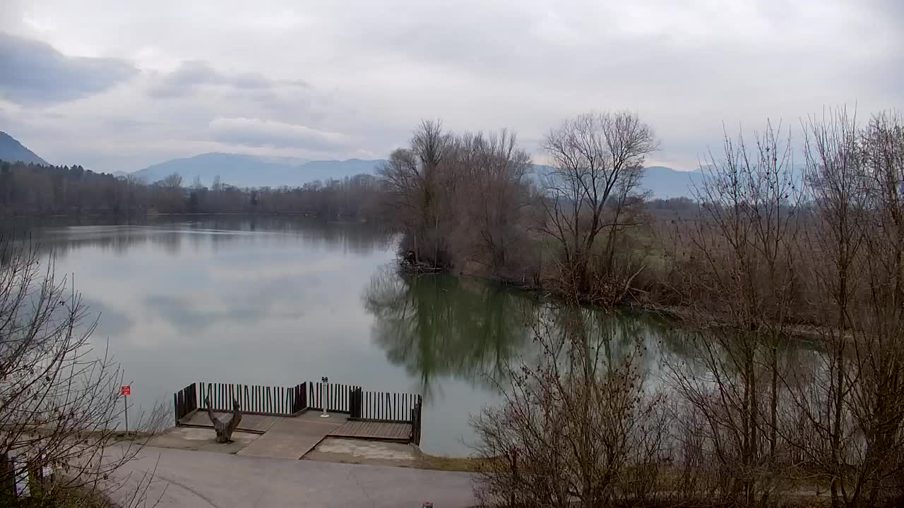 Webcam Ribnik Vrbje – Žalec