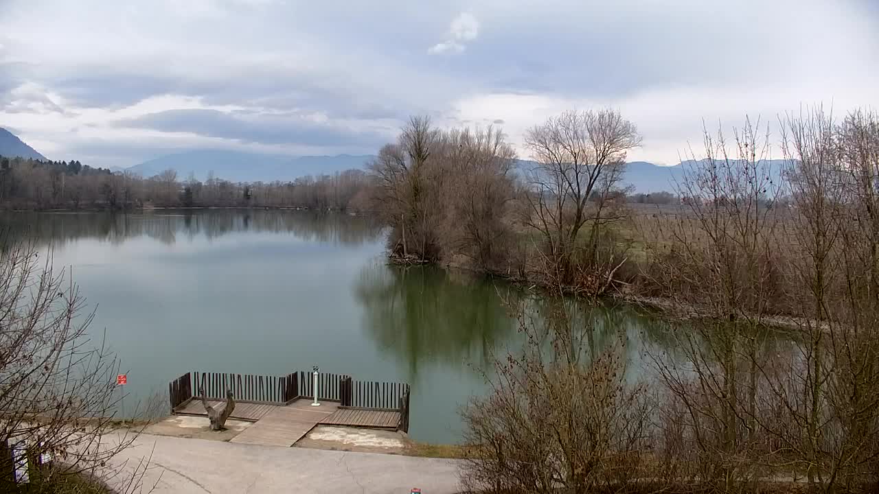 Webcam Ribnik Vrbje – Žalec