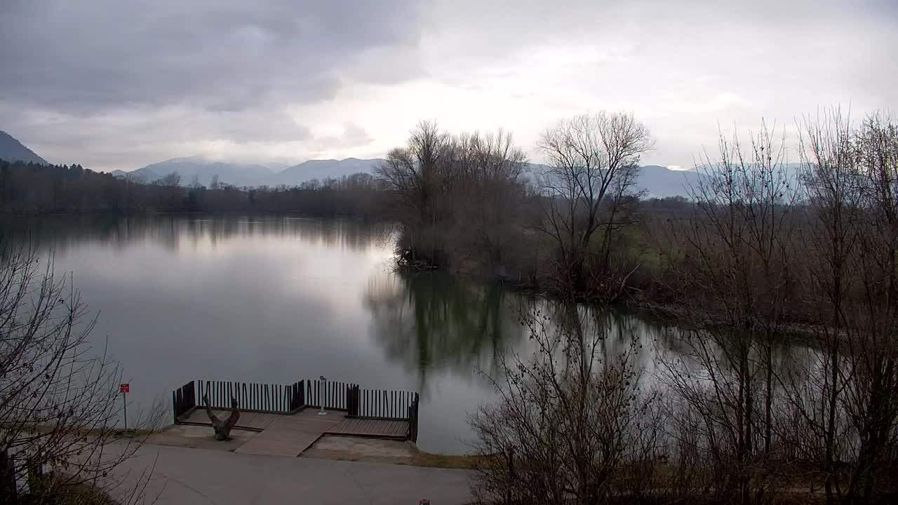 Webcam Ribnik Vrbje – Žalec