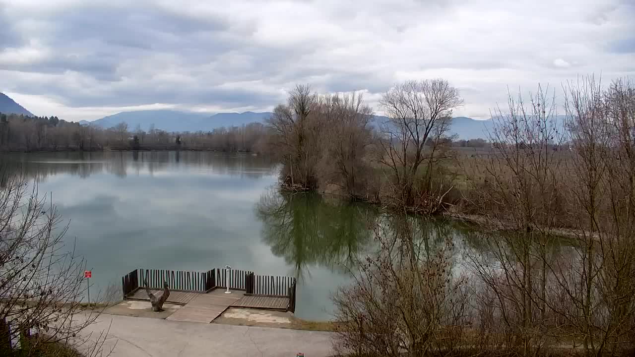 Spletna kamera Ribnik Vrbje – Žalec