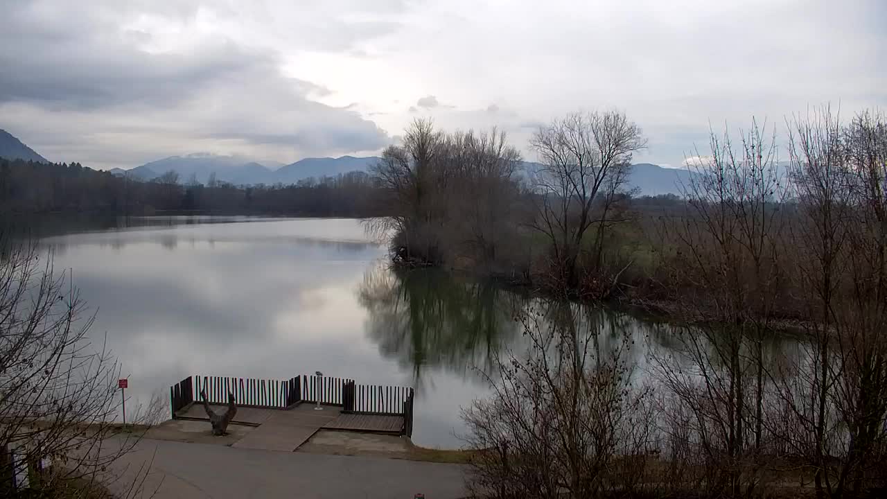 Webcam Ribnik Vrbje – Žalec