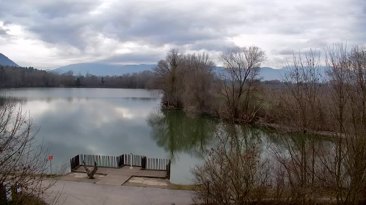 Webcam Ribnik Vrbje – Žalec