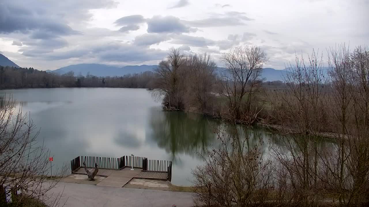 Webcam Ribnik Vrbje – Žalec