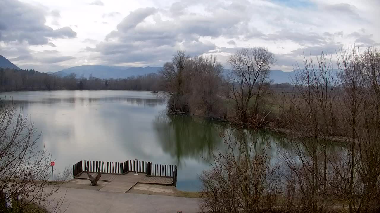 Webcam Ribnik Vrbje – Žalec