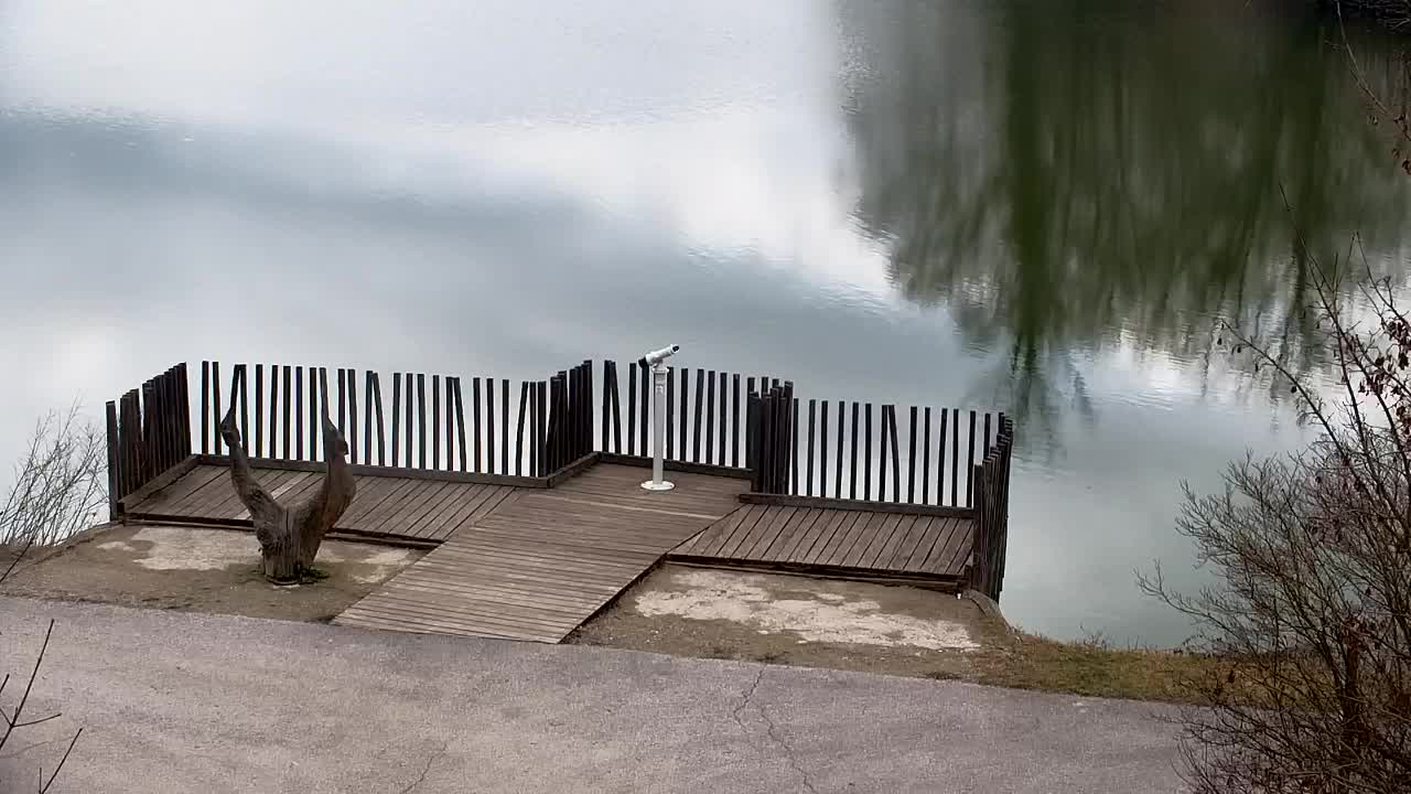 Spletna kamera Ribnik Vrbje – Žalec