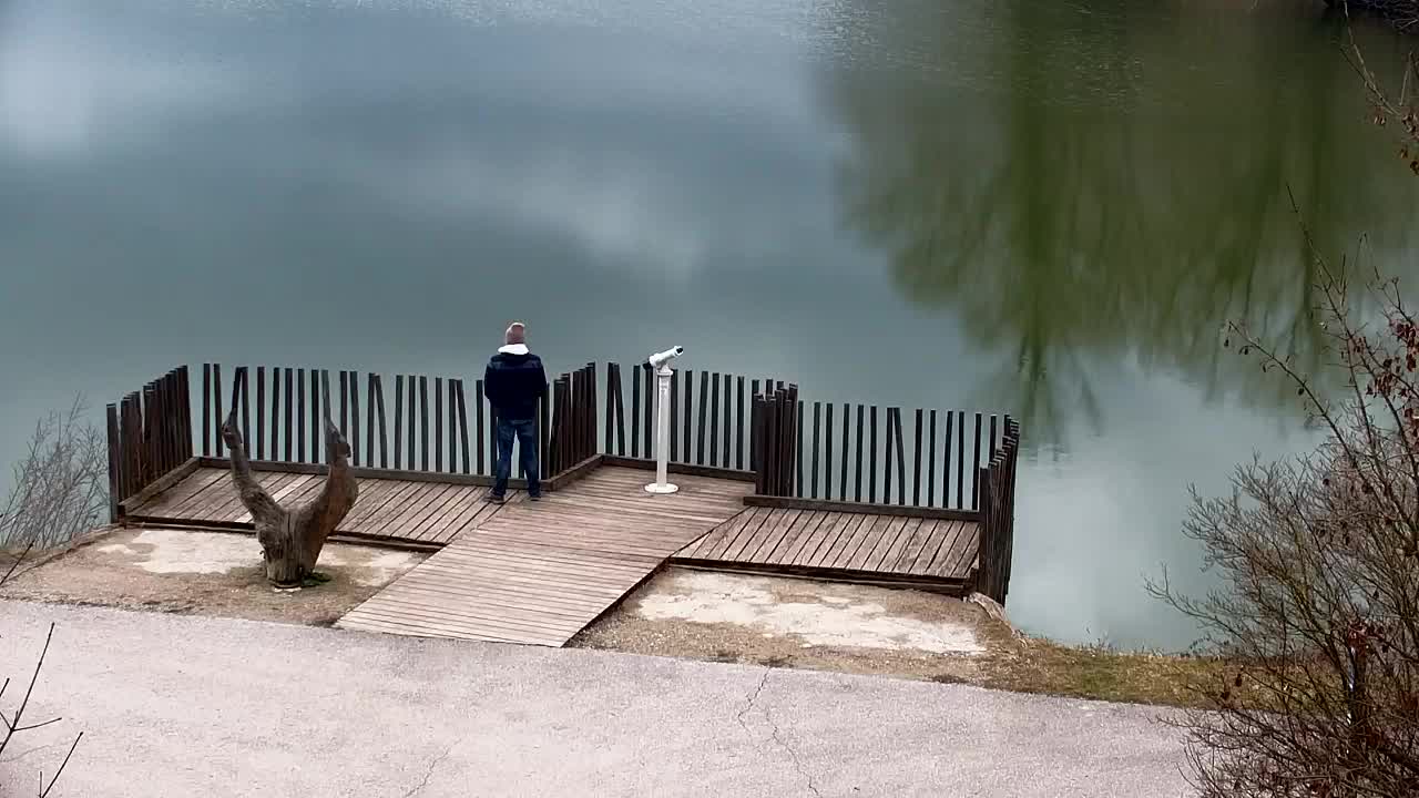 Webcam Ribnik Vrbje – Žalec