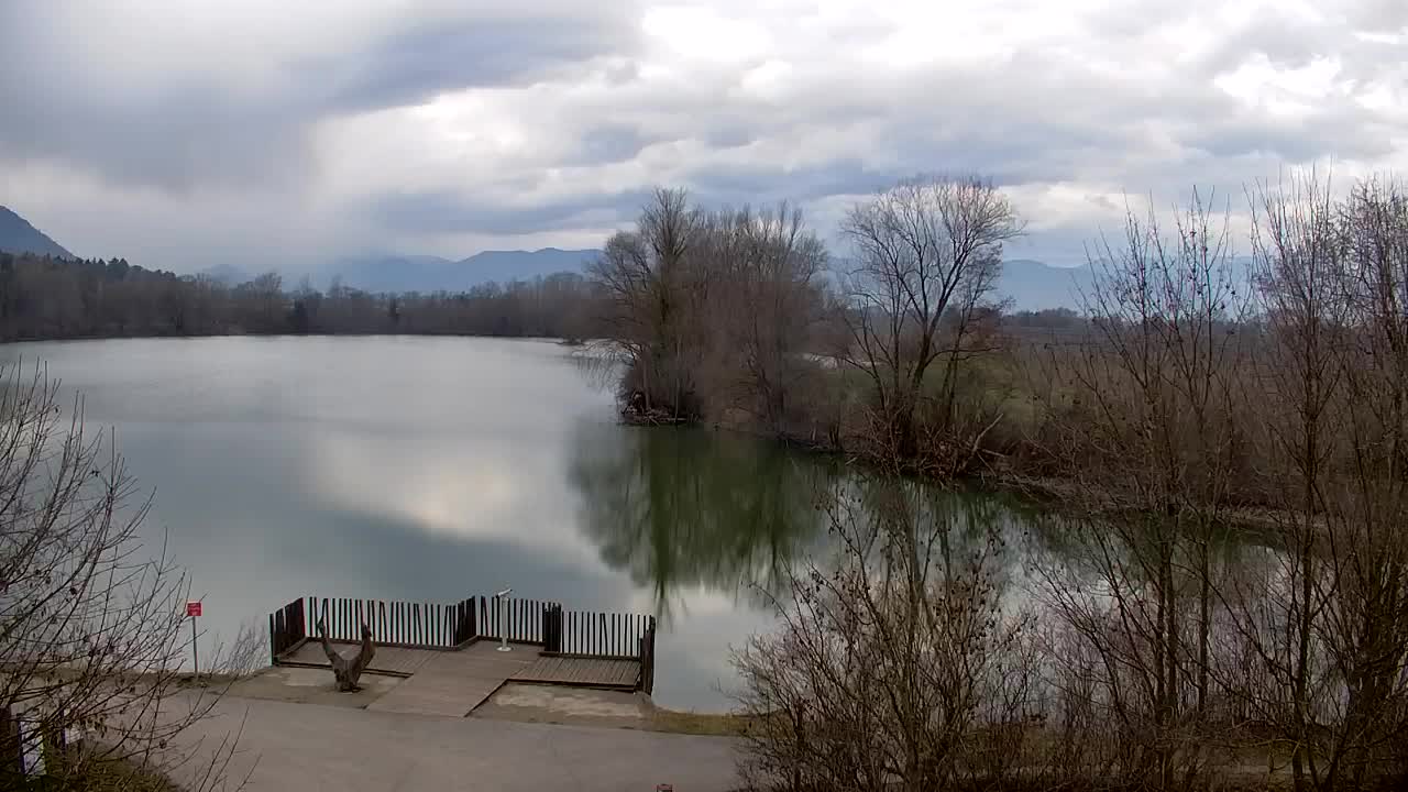 Webcam Ribnik Vrbje – Žalec