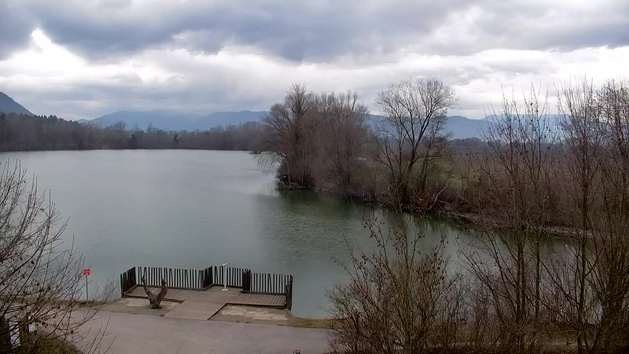 Webcam Ribnik Vrbje – Žalec