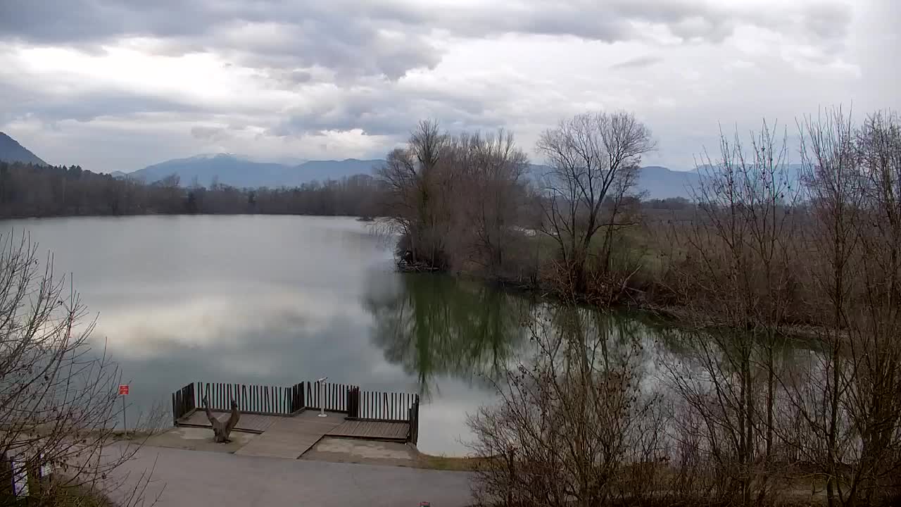 Webcam Ribnik Vrbje – Žalec