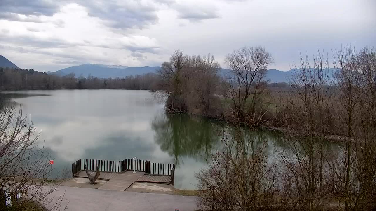 Webcam Ribnik Vrbje – Žalec