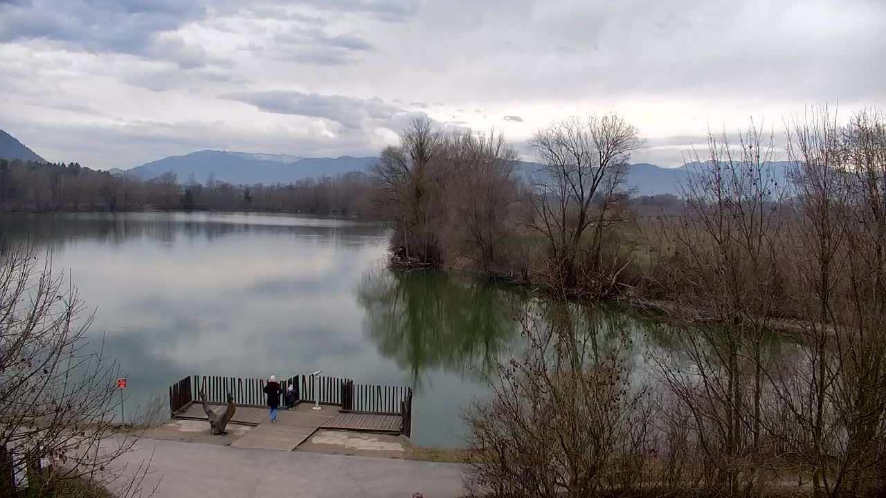 Webcam Ribnik Vrbje – Žalec