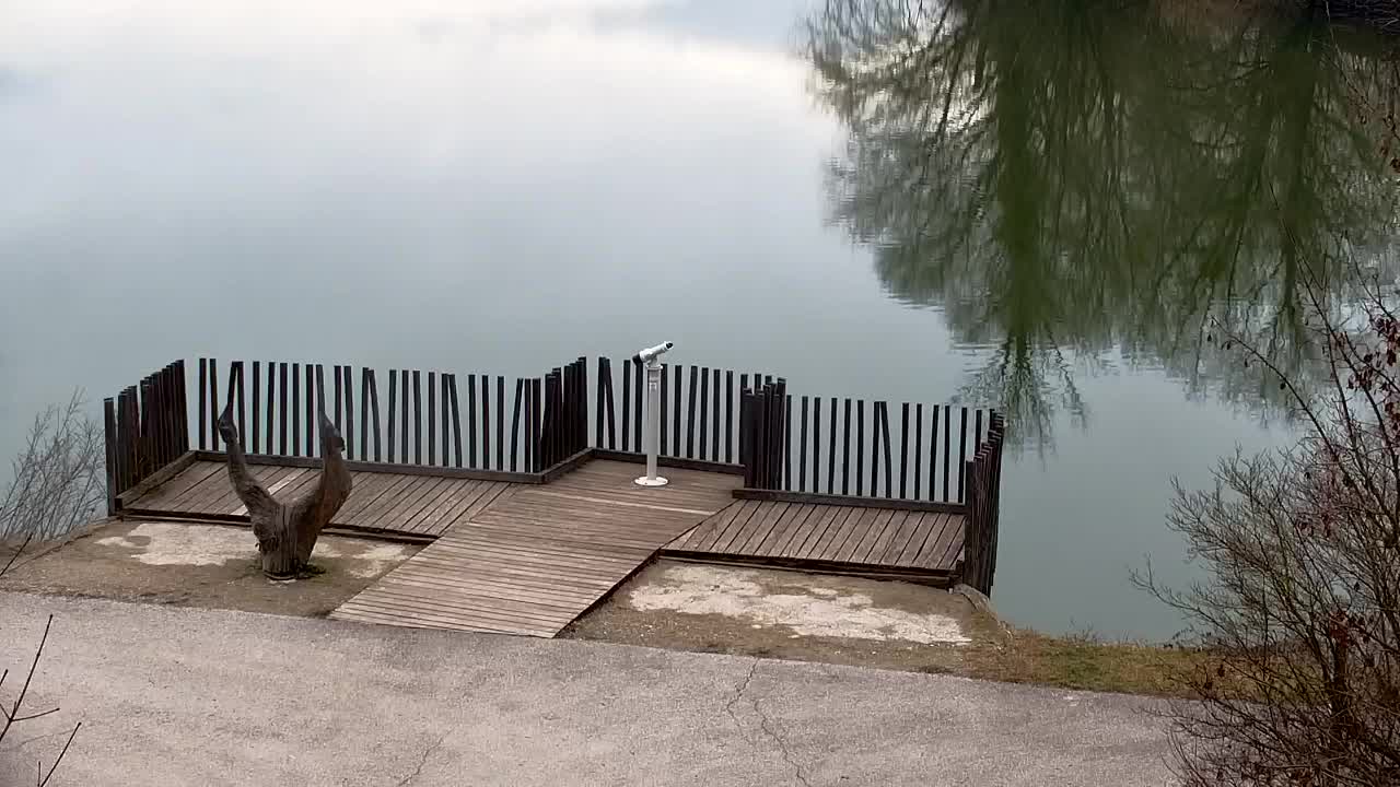 Web kamera Ribnik Vrbje – Žalec