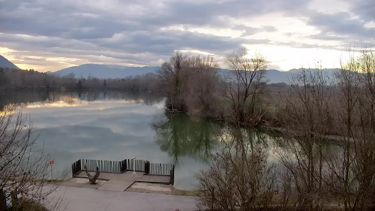 Webcam Ribnik Vrbje – Žalec