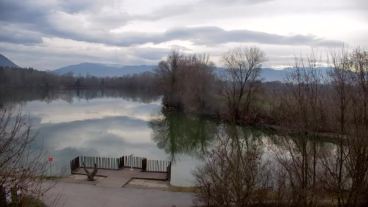 Webcam Ribnik Vrbje – Žalec