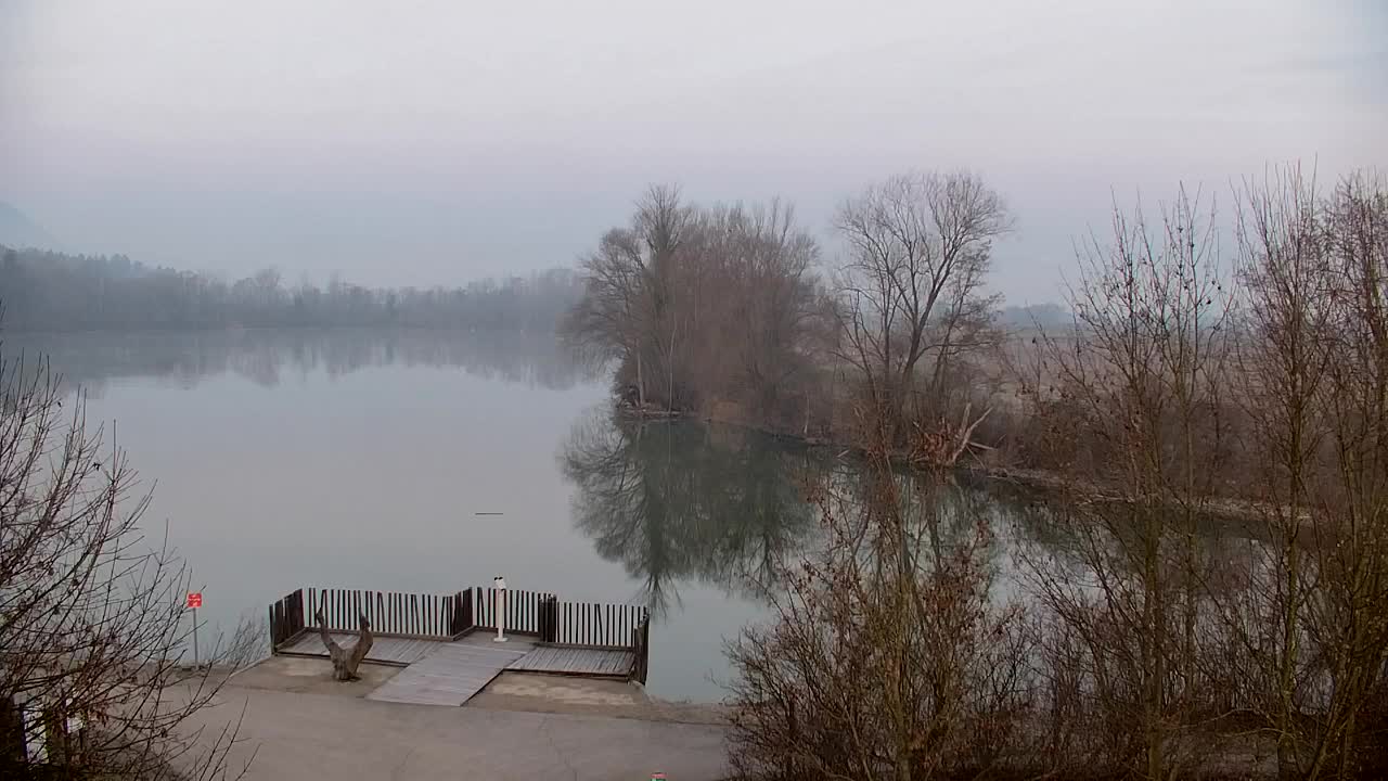 Web kamera Ribnik Vrbje – Žalec