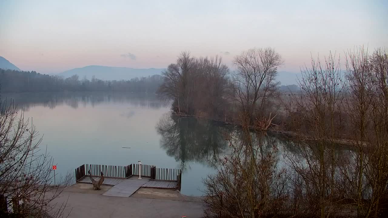 Webcam Ribnik Vrbje – Žalec