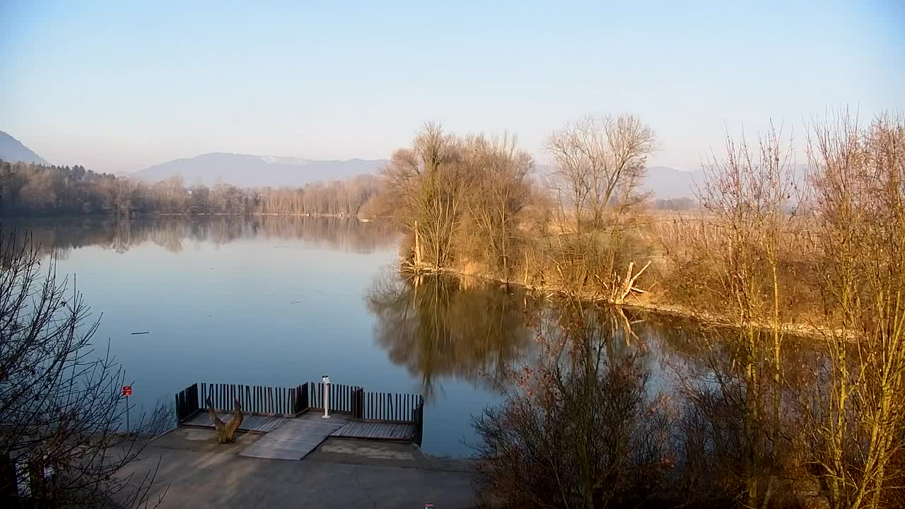 Spletna kamera Ribnik Vrbje – Žalec