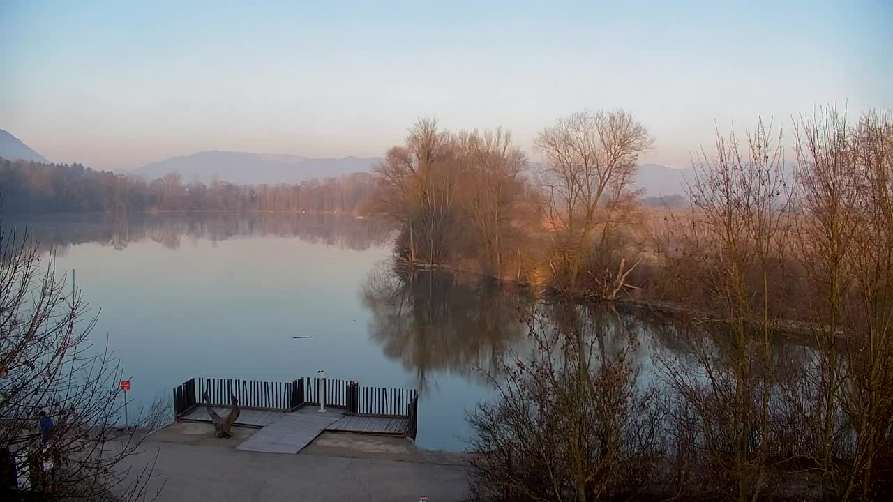 Webcam Ribnik Vrbje – Žalec