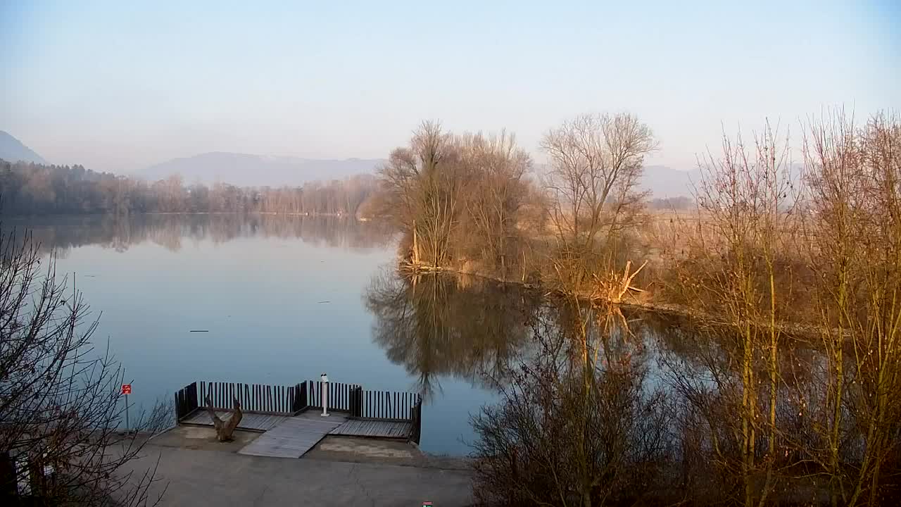 Webcam Ribnik Vrbje – Žalec