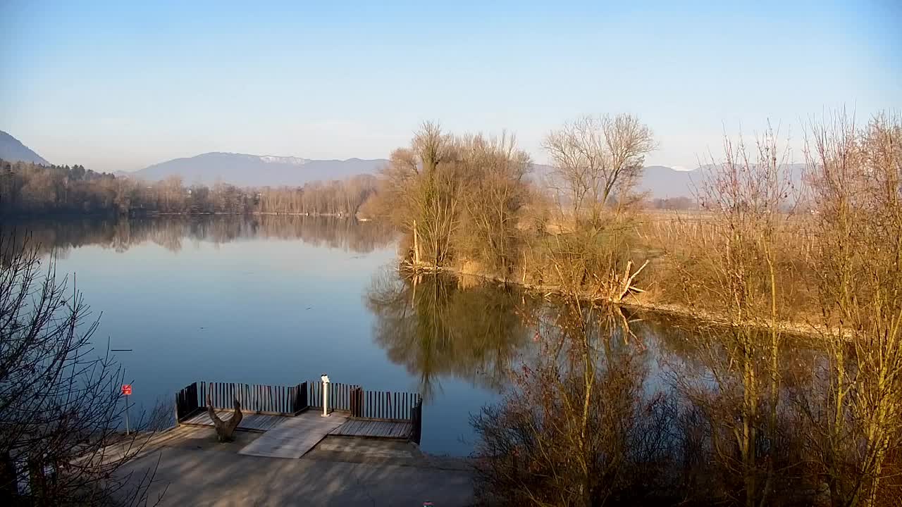 Web kamera Ribnik Vrbje – Žalec