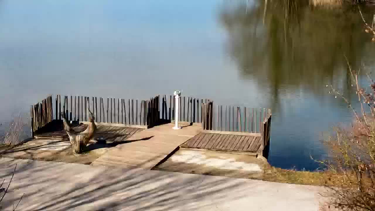 Web kamera Ribnik Vrbje – Žalec