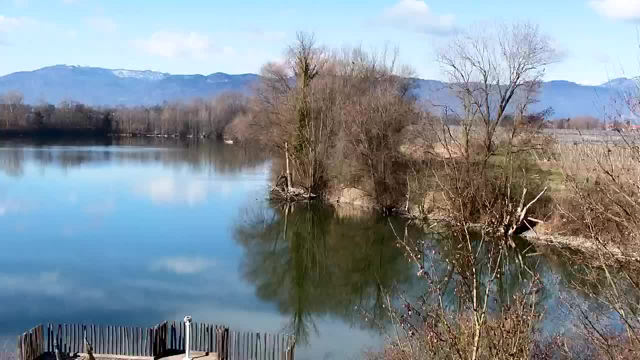 Spletna kamera Ribnik Vrbje – Žalec