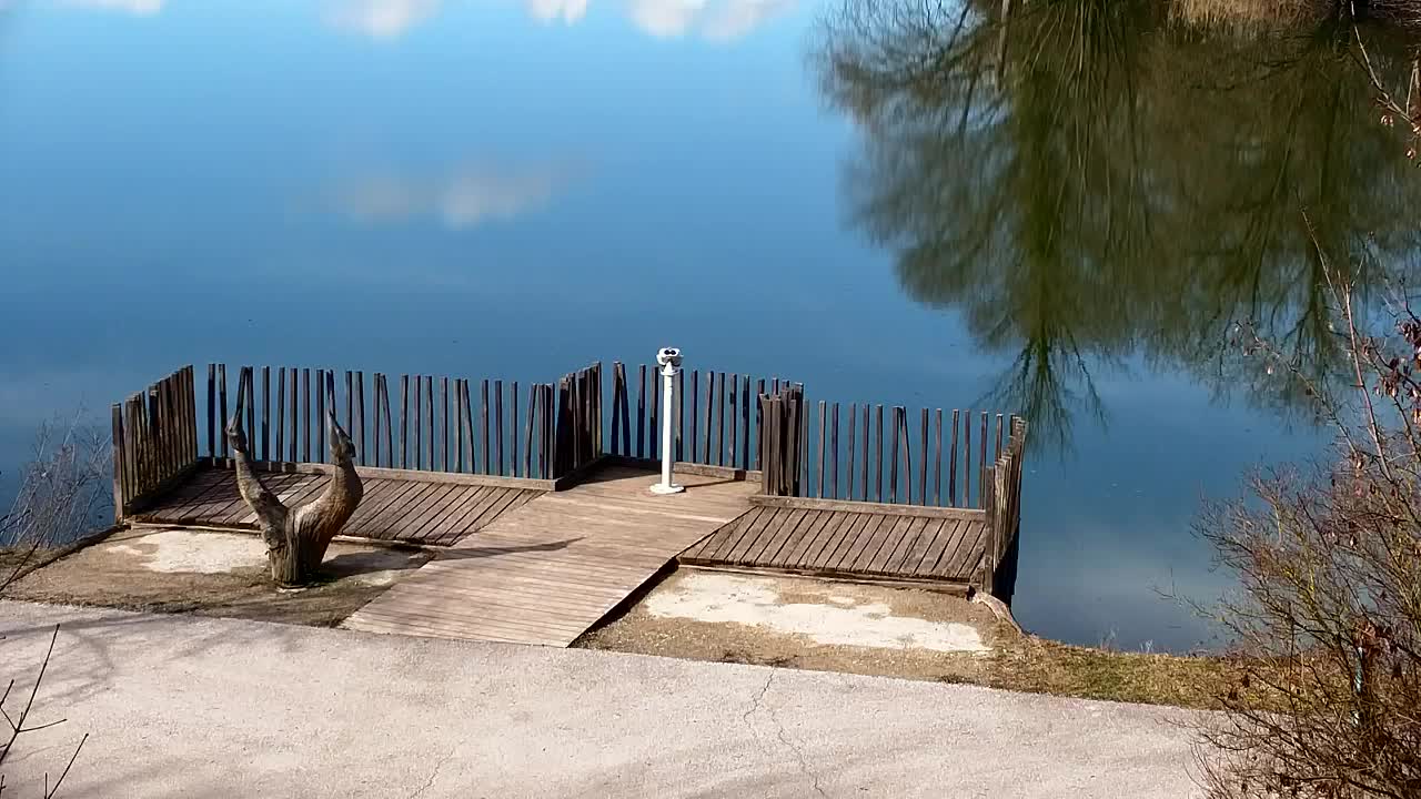 Webcam Ribnik Vrbje – Žalec