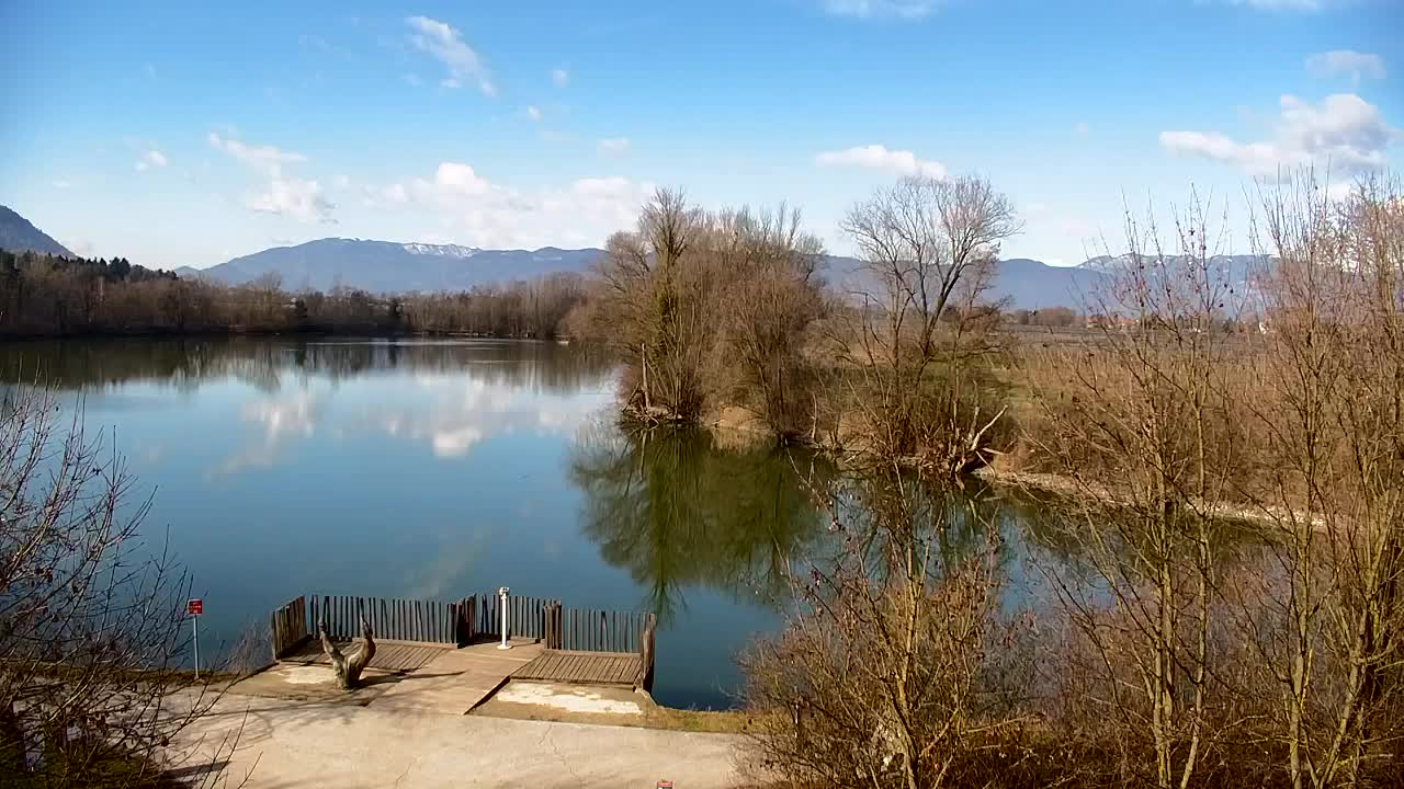 Webcam Ribnik Vrbje – Žalec