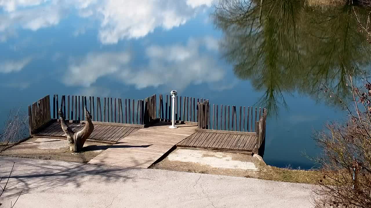 Spletna kamera Ribnik Vrbje – Žalec