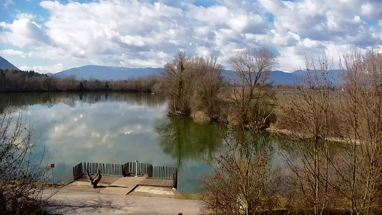 Webcam Ribnik Vrbje – Žalec