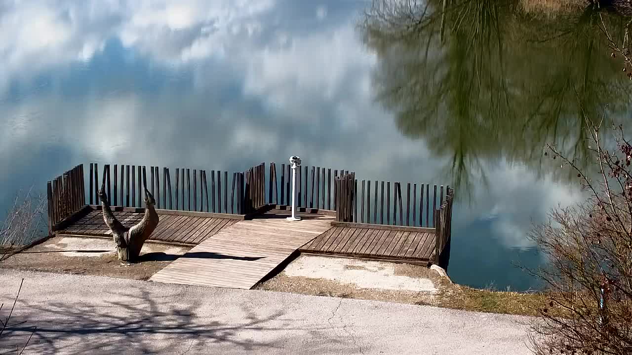 Webcam Ribnik Vrbje – Žalec