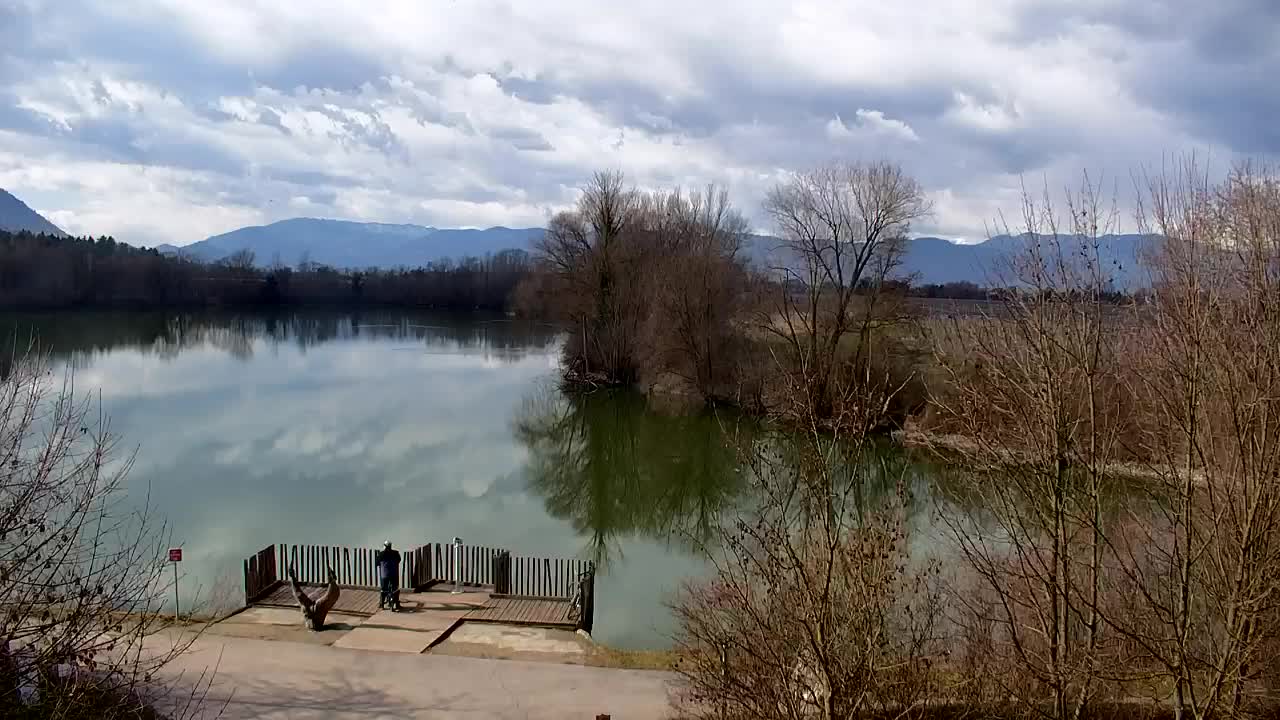 Webcam Ribnik Vrbje – Žalec