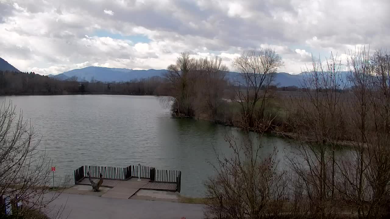 Spletna kamera Ribnik Vrbje – Žalec