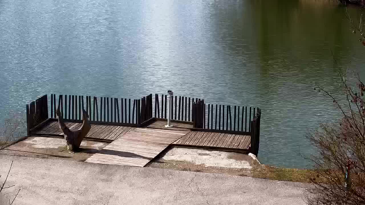 Web kamera Ribnik Vrbje – Žalec